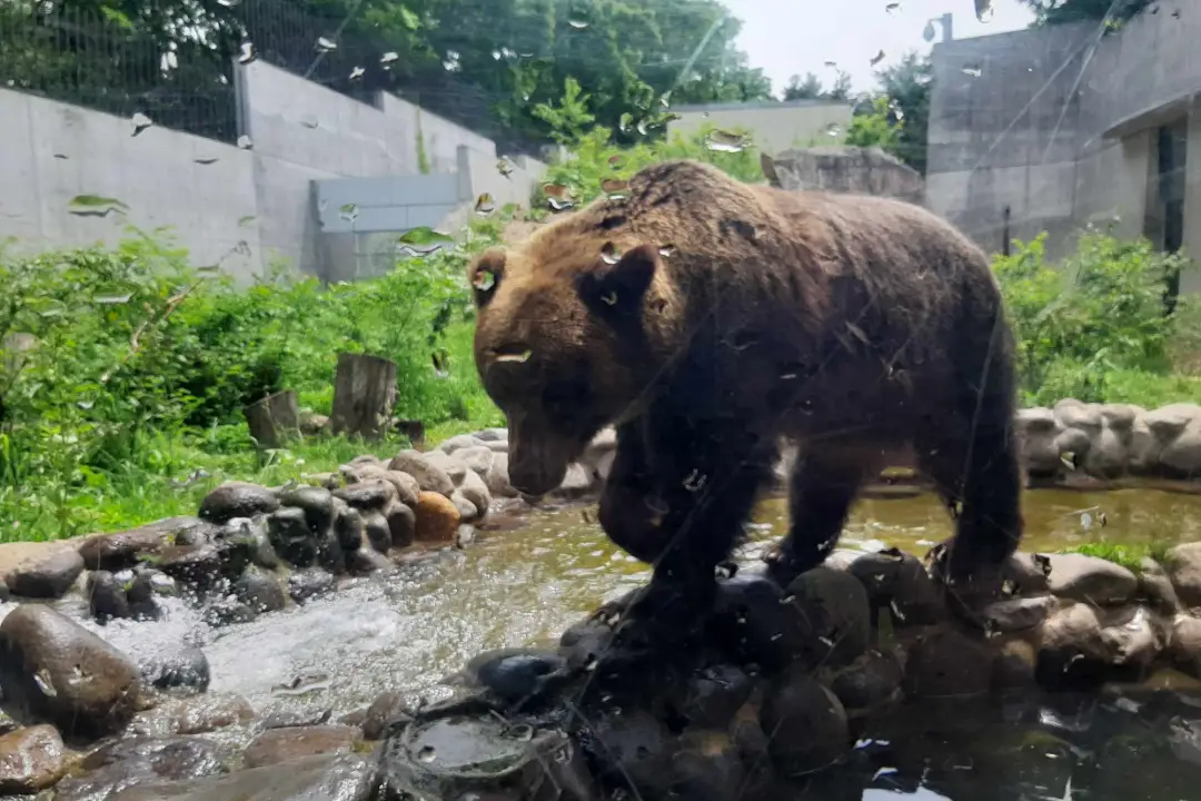 札幌圓山動物園