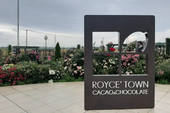 Royce Chocolate Factory Cacao & Chocolate Town 札幌羅伊斯巧克力工廠