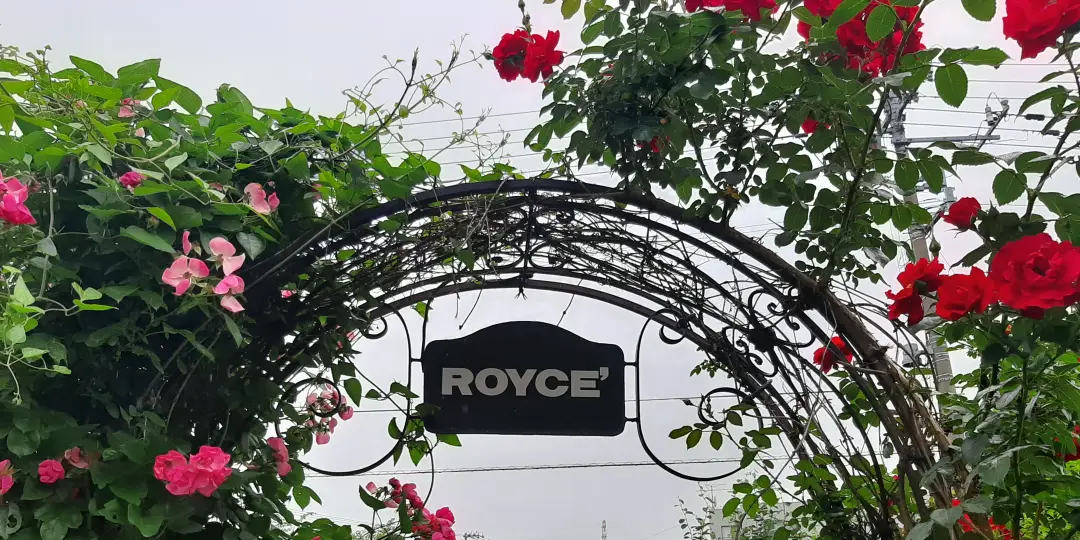 Royce Chocolate Factory Sapporo Rose Garden