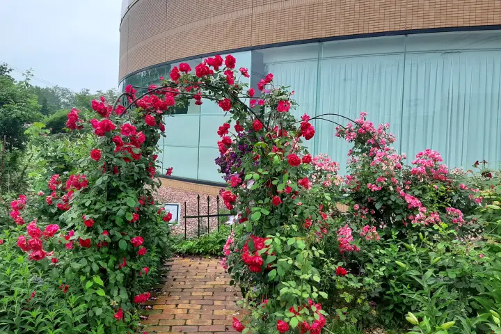 Royce rose garden Royce Chocolate Factory 札幌羅伊斯巧克力工廠 Pabrik Coklat Royce Sapporo