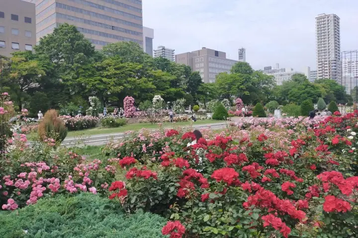 Sapporo Flower Festival Hana Festa